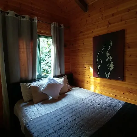 A Place To Dream Tsipori Extérieur photo