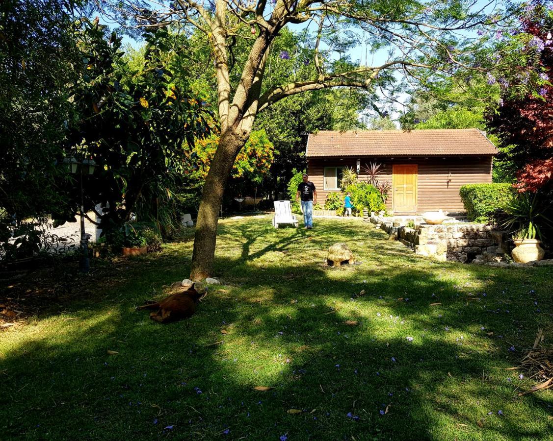 Lodge A Place To Dream Tsipori
