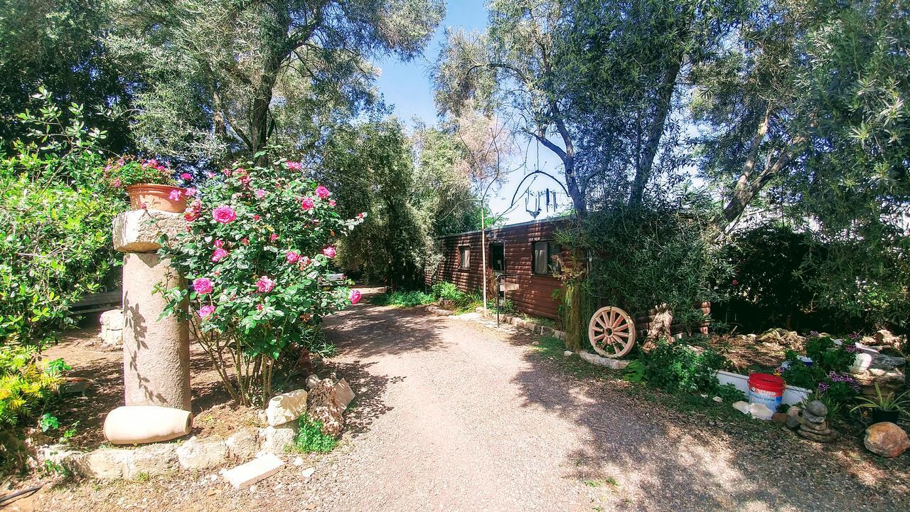 Lodge A Place To Dream Tsipori