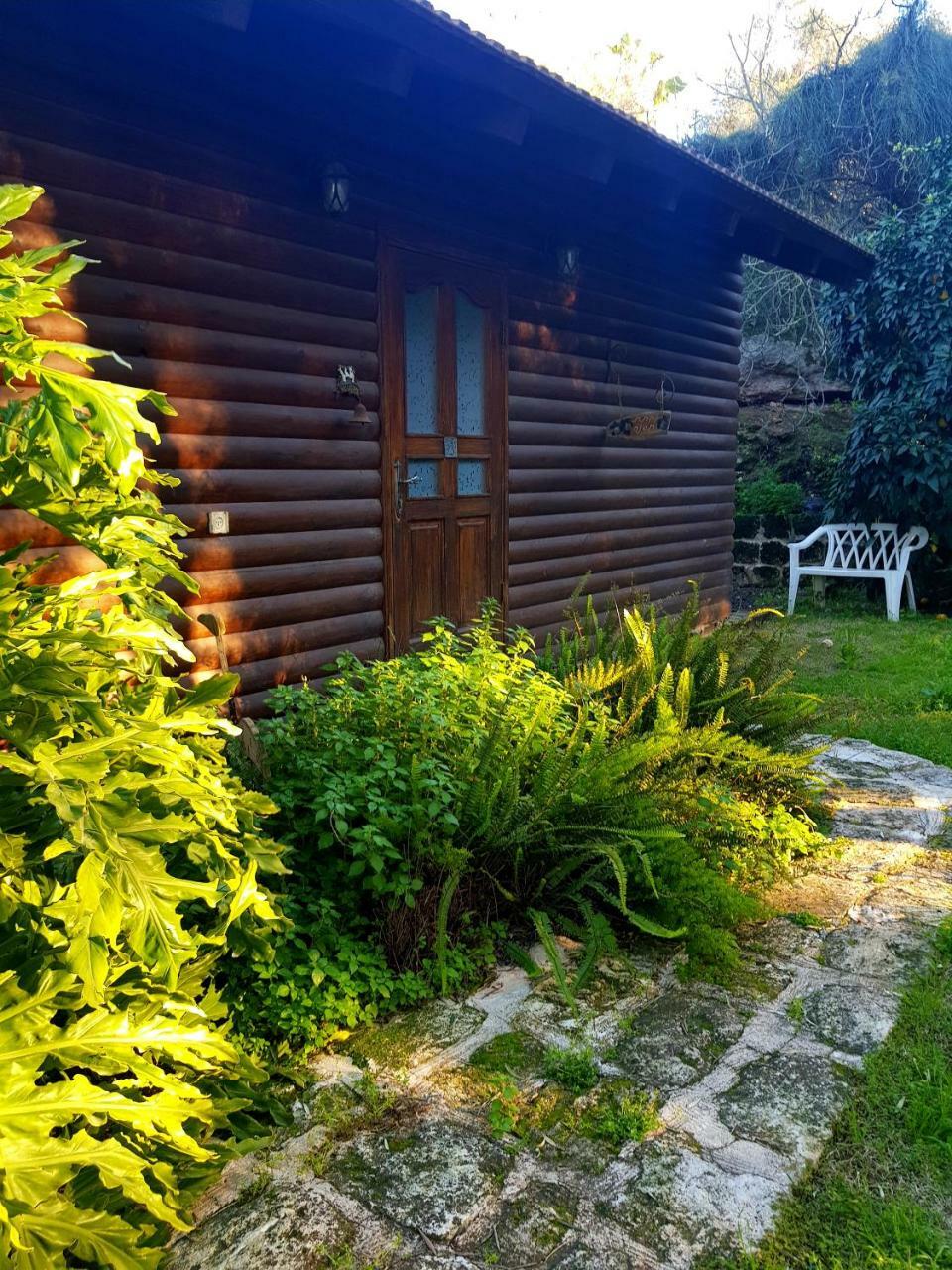Lodge A Place To Dream Tsipori